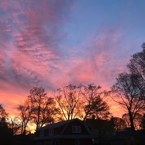 Meet your Posher, Vivian